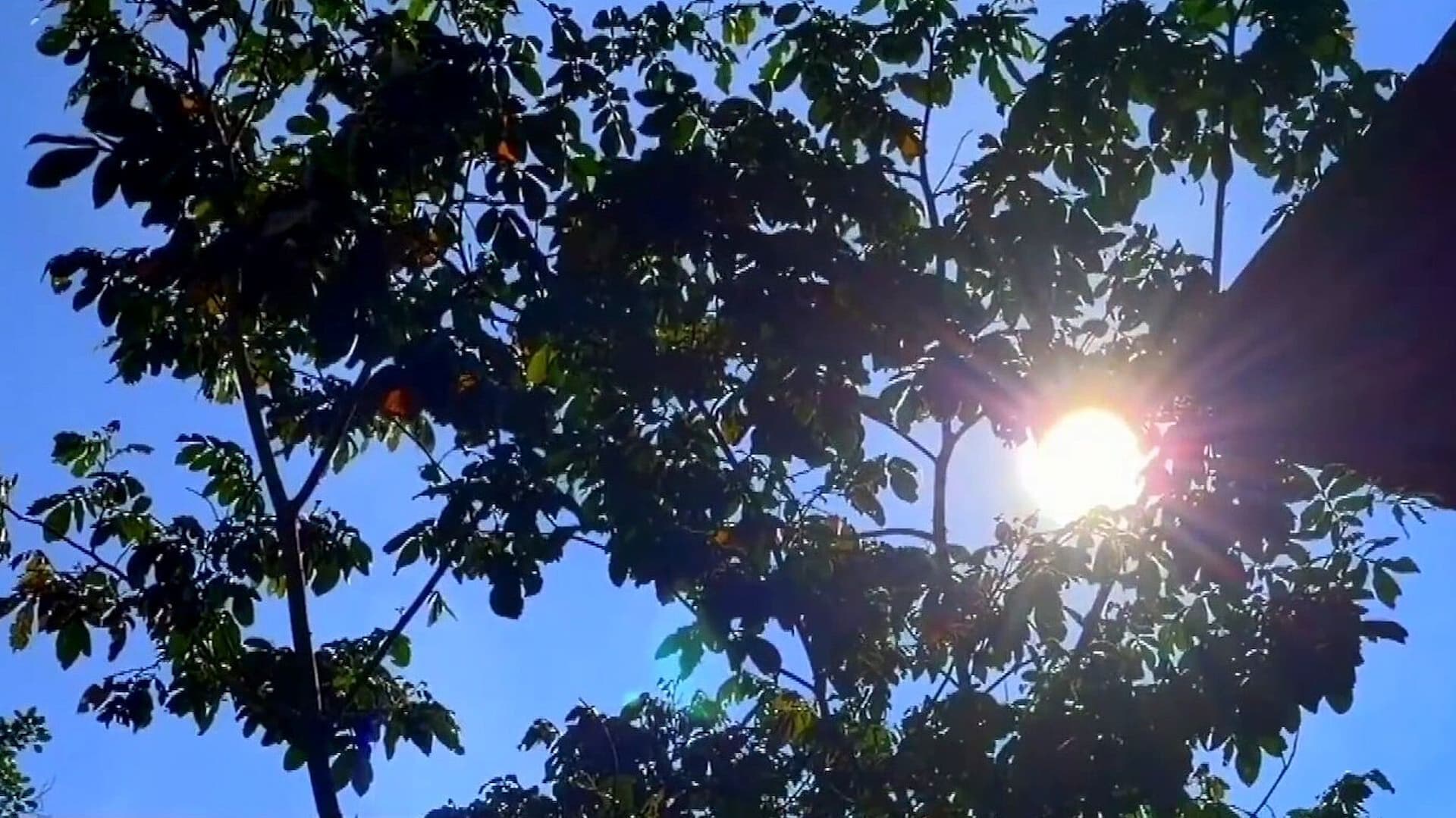 Inicia Solsticio de Verano en Hemisferio Norte y Marca Cambio de Estación en Veracruz