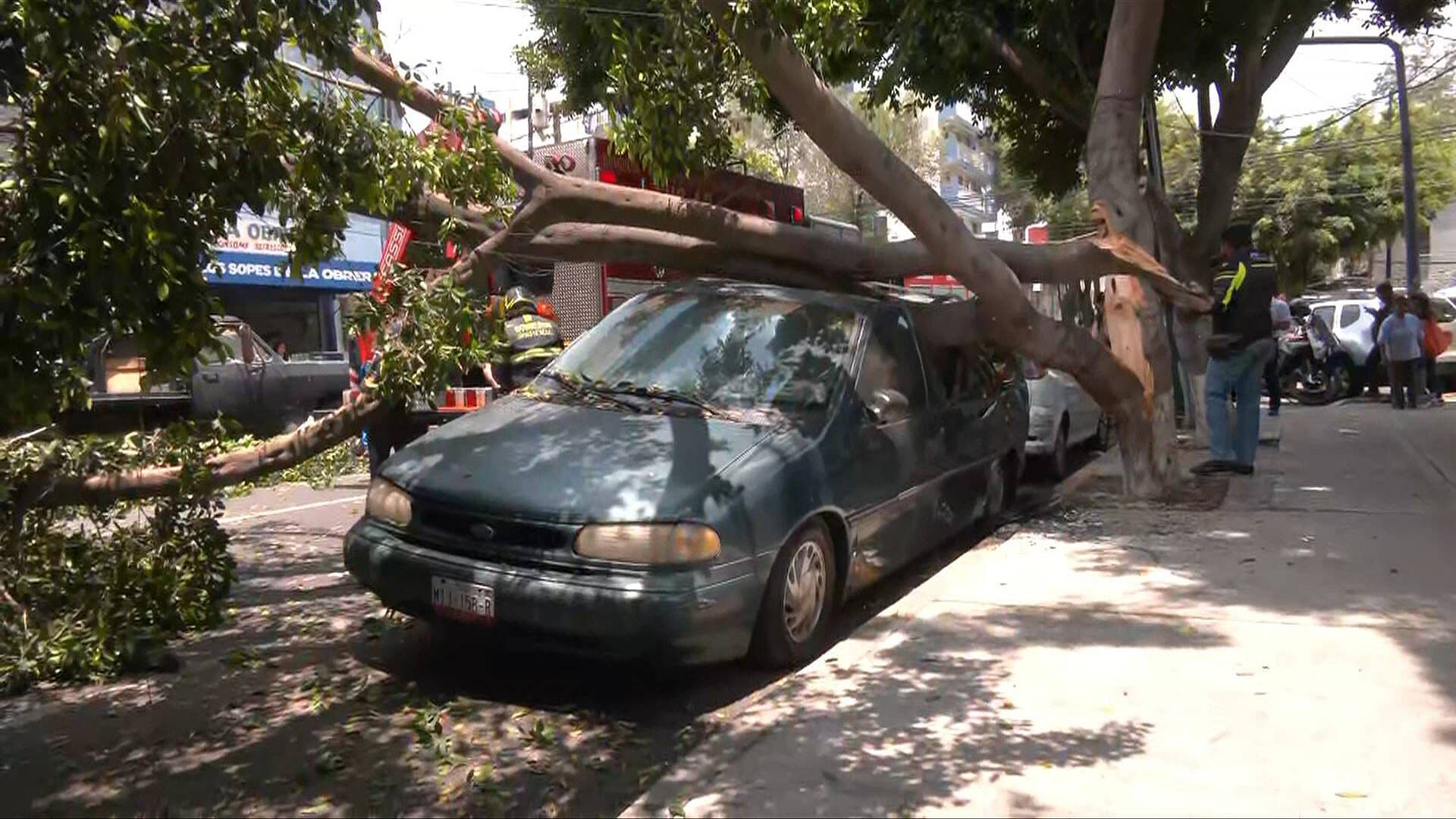 Árbol Colapsa y Aplasta Camioneta en la Colonia Obrera, CDMX