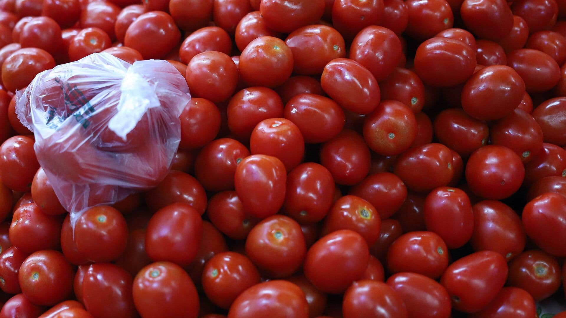 ¿Cuánto Cuesta el Kilo de Jitomate? Precios se Regularizan en Mercados de CDMX