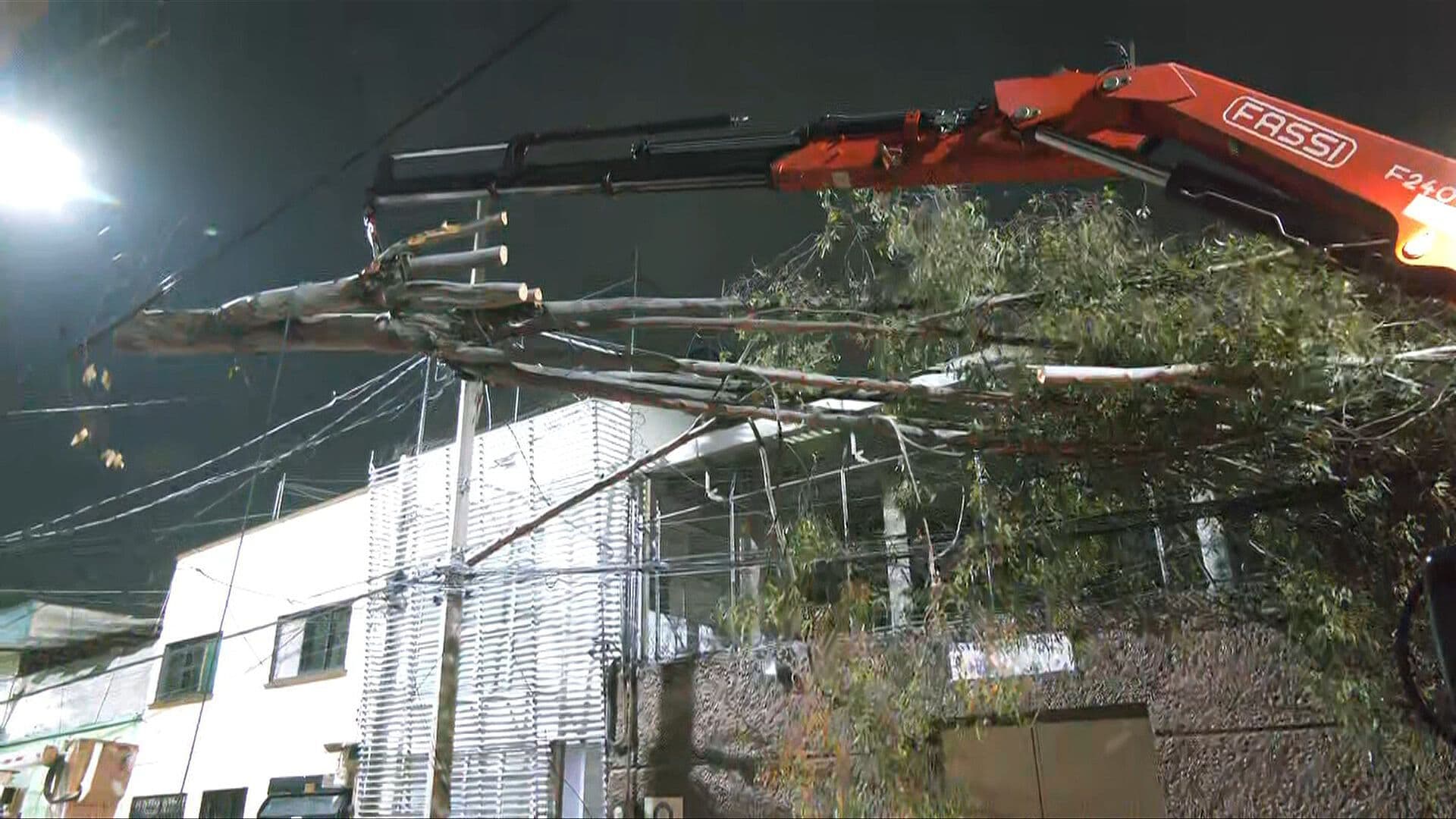 Fuerte Tormenta Derriba Árbol sobre Inmueble en la Colonia Obrera, Cuauhtémoc, CDMX