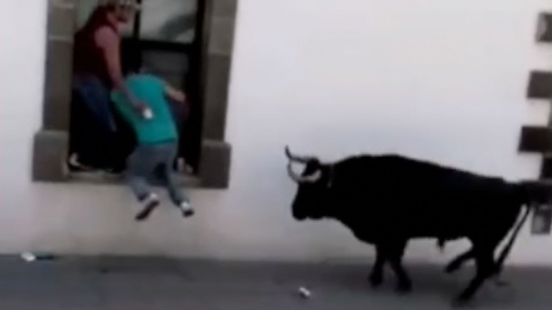 Toro Embiste a Dos Hombres durante Pamplonada en Amaxac de Guerrero, Tlaxcala