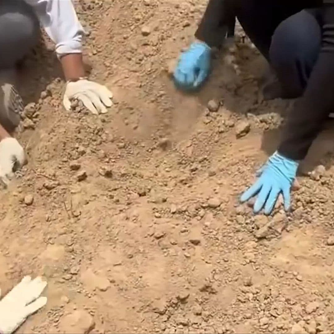 Hallan Sin Vida en Concordia, Sinaloa, a Turista de Querétaro Reportado Desaparecido