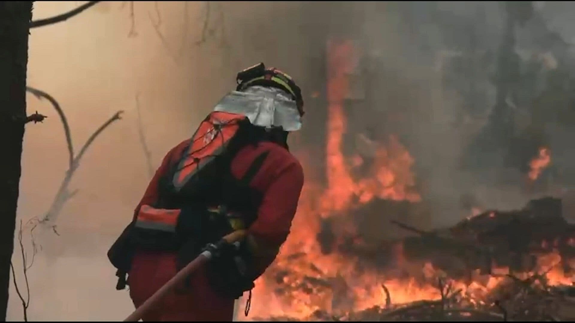 Incendios en España Arrasan 120 Mil Hectáreas; Autoridades Alertan Emergencia