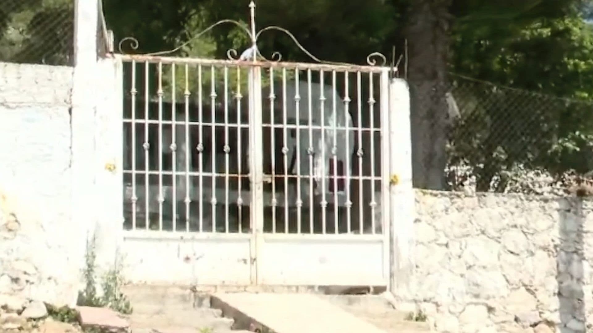 [QA][Tlaxcala][Video][02] Prueba de contenido estatal
