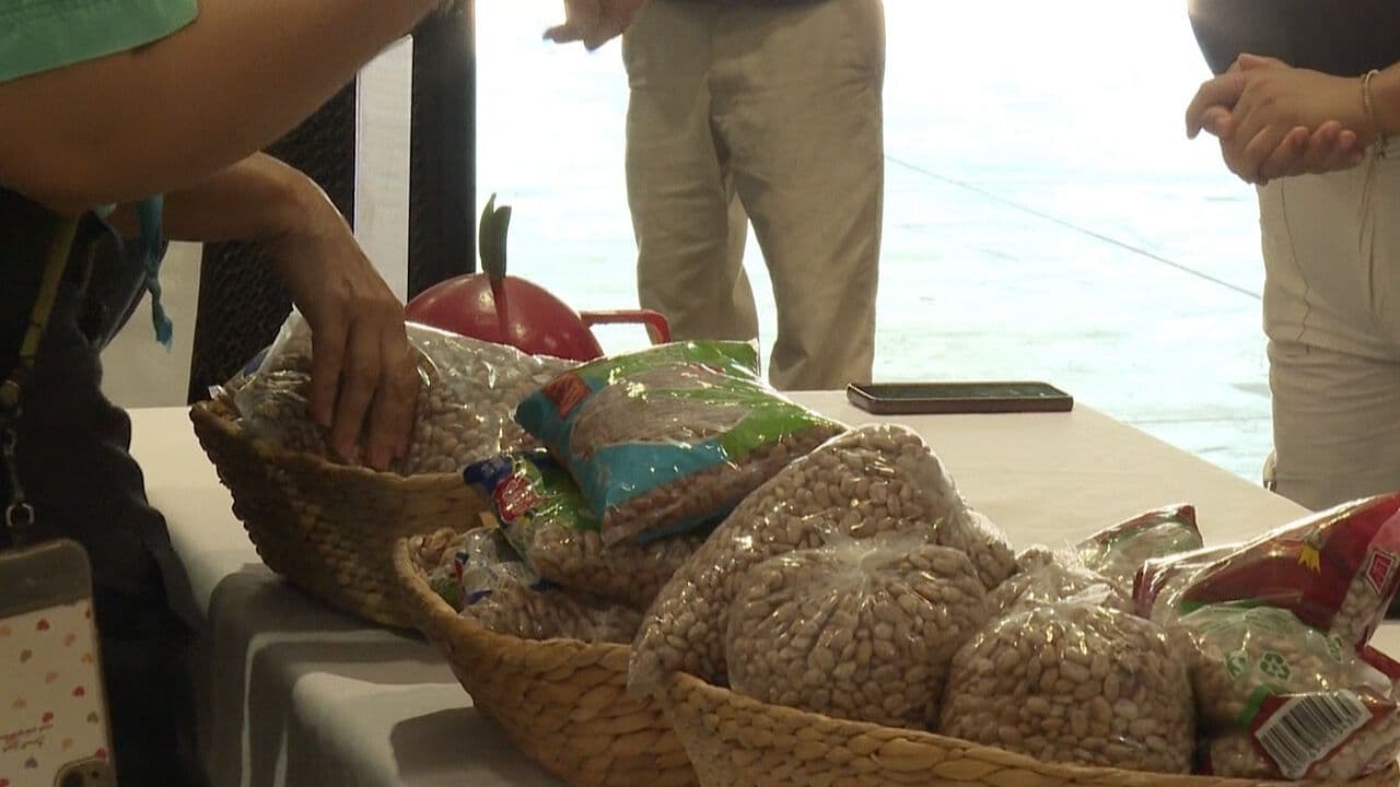 Banco de Alimentos de Hermosillo Busca Reunir Más de 20 Toneladas de Frijol