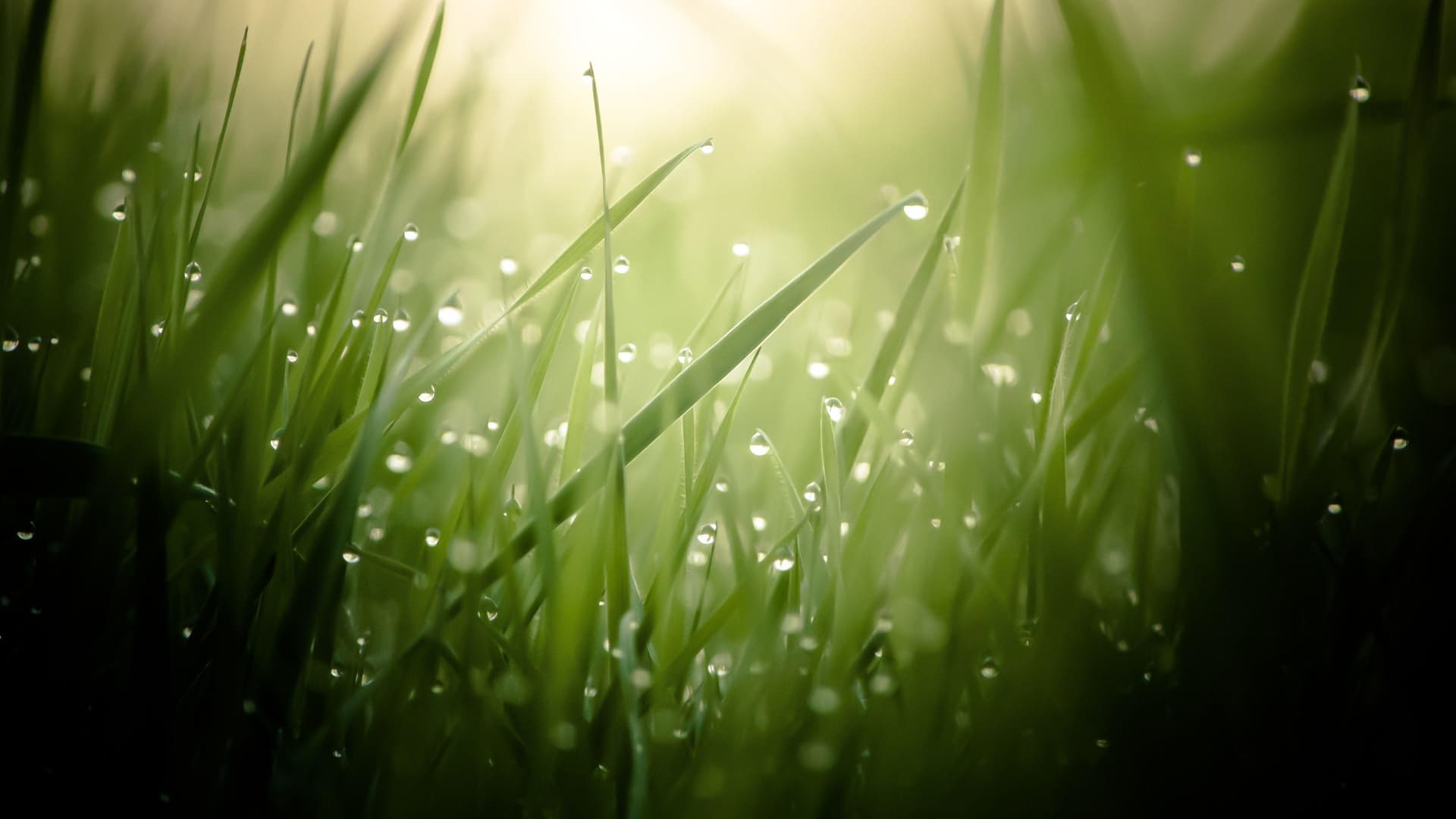 Lluvia en CDMX: ¿En Qué Zonas Ya Hay Afectaciones por el Clima Hoy 18 de Mayo de 2026?