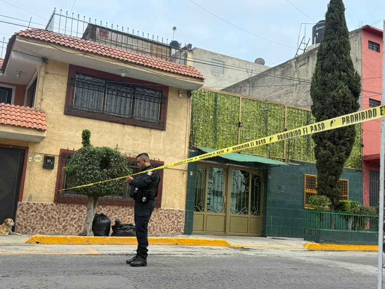 Caso Teresa Molina: Hallan Maletas con Restos Durante su Búsqueda; Hijo es Sospechoso