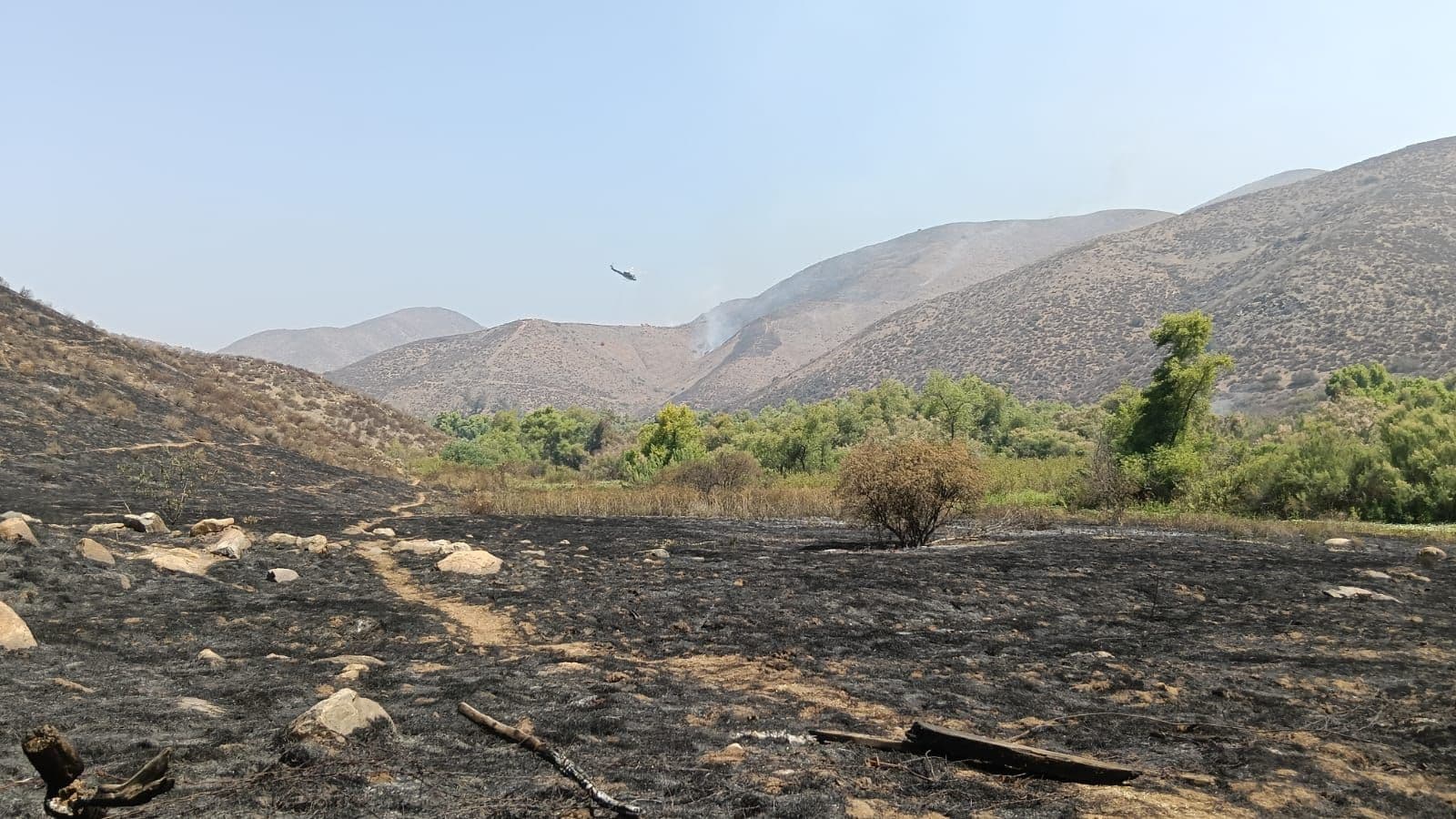 Incendio Forestal en Franja Fronteriza de Baja California se Extiende a EUA; Esto se Sabe