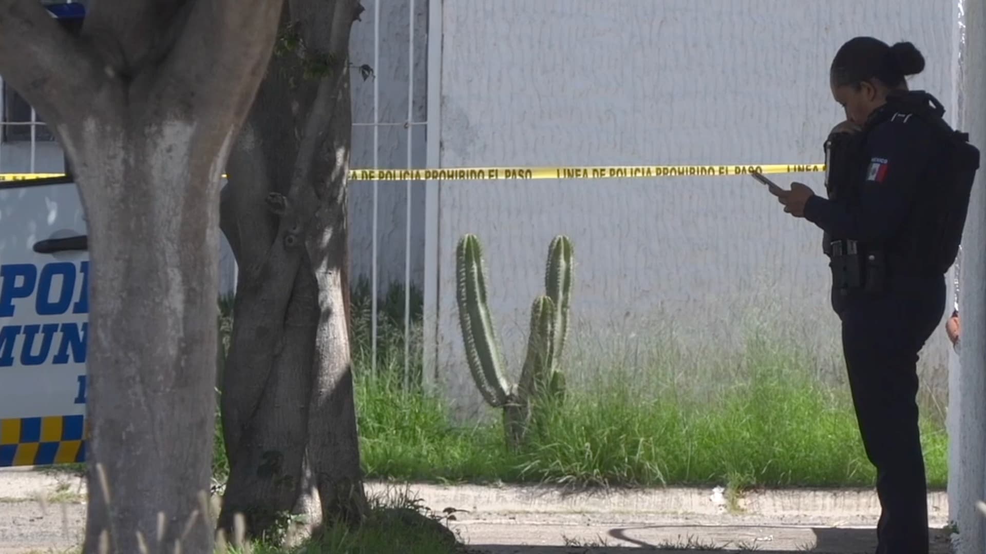 Ataques Armados Dejaron 17 Muertos y 7 Heridos Este Fin de Semana en Guanajuato
