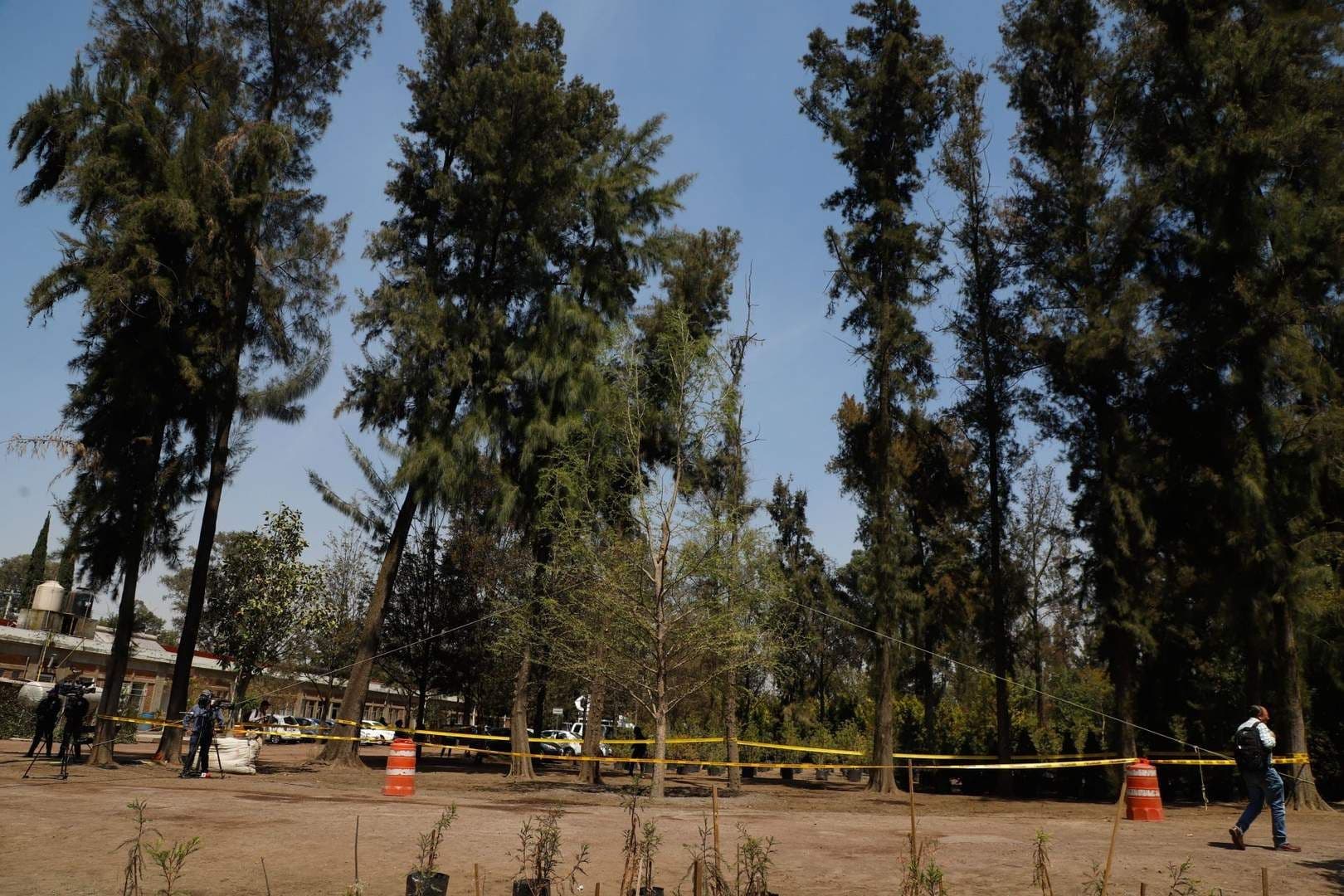 Alertan por Posible Ecocidio en Azcapotzalco: Vecinos Defienden Árboles de El Rosario