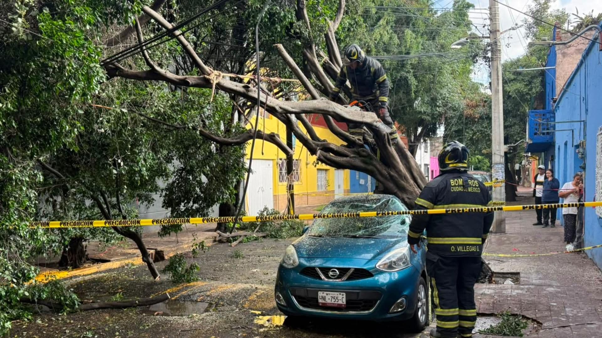 Caída Masiva de Árboles y Postes en Colonia Pensil: Daños en Calles y Casas de Miguel Hidalgo