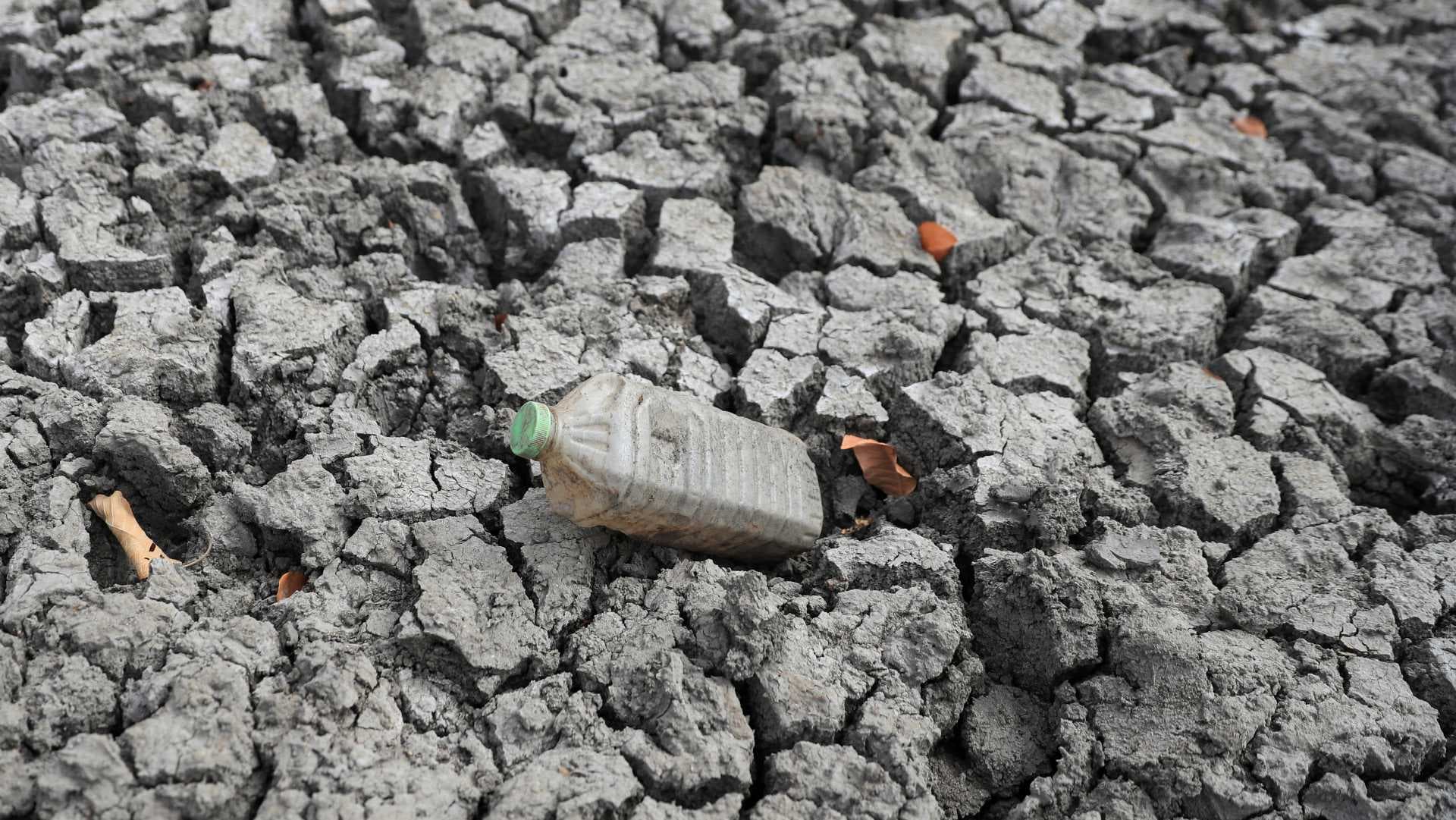 Llegada de “El Niño” es Casi Inminente: OMM Calcula un 80% de Probabilidades