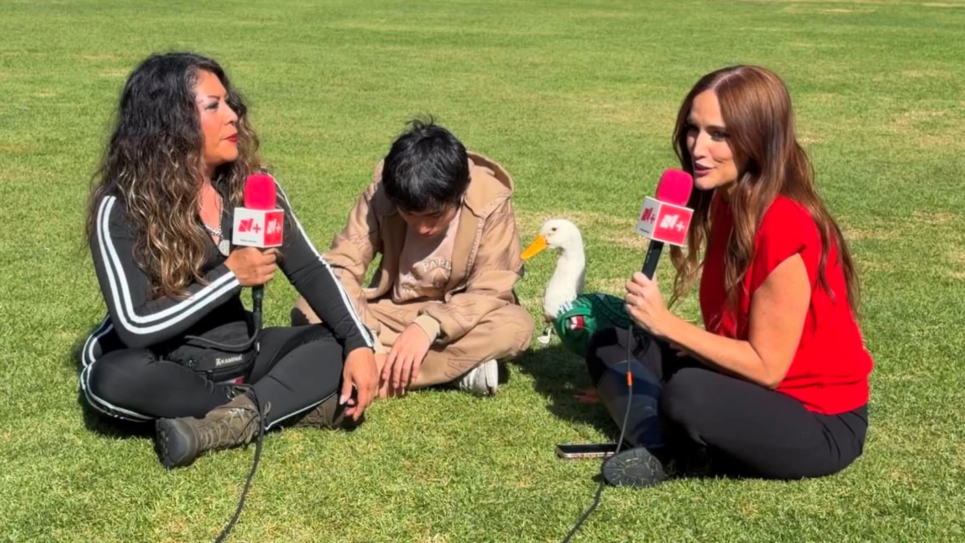 Pato Merlín, entrevista N+