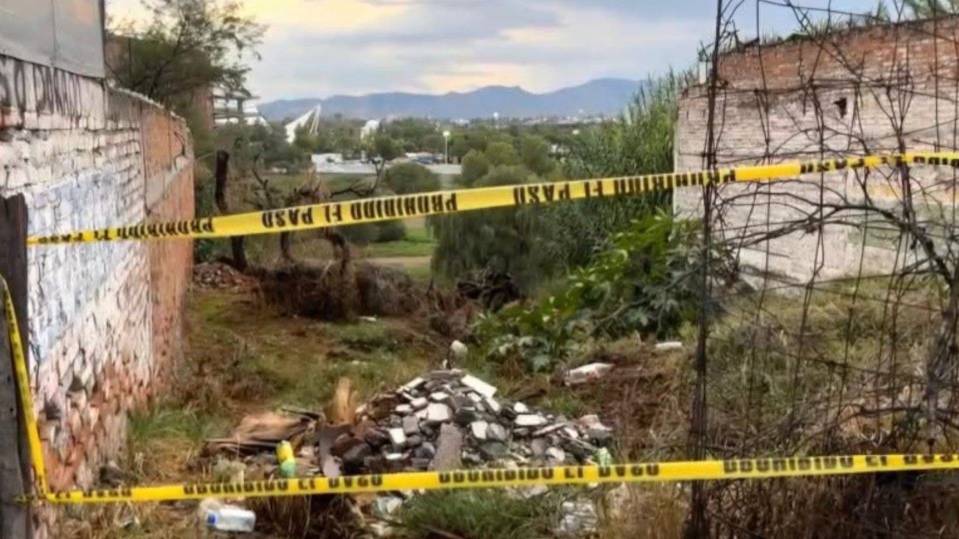 Hombre de la Tercera Edad Muere Atacado por una Jauría de Perros en Aguascalientes