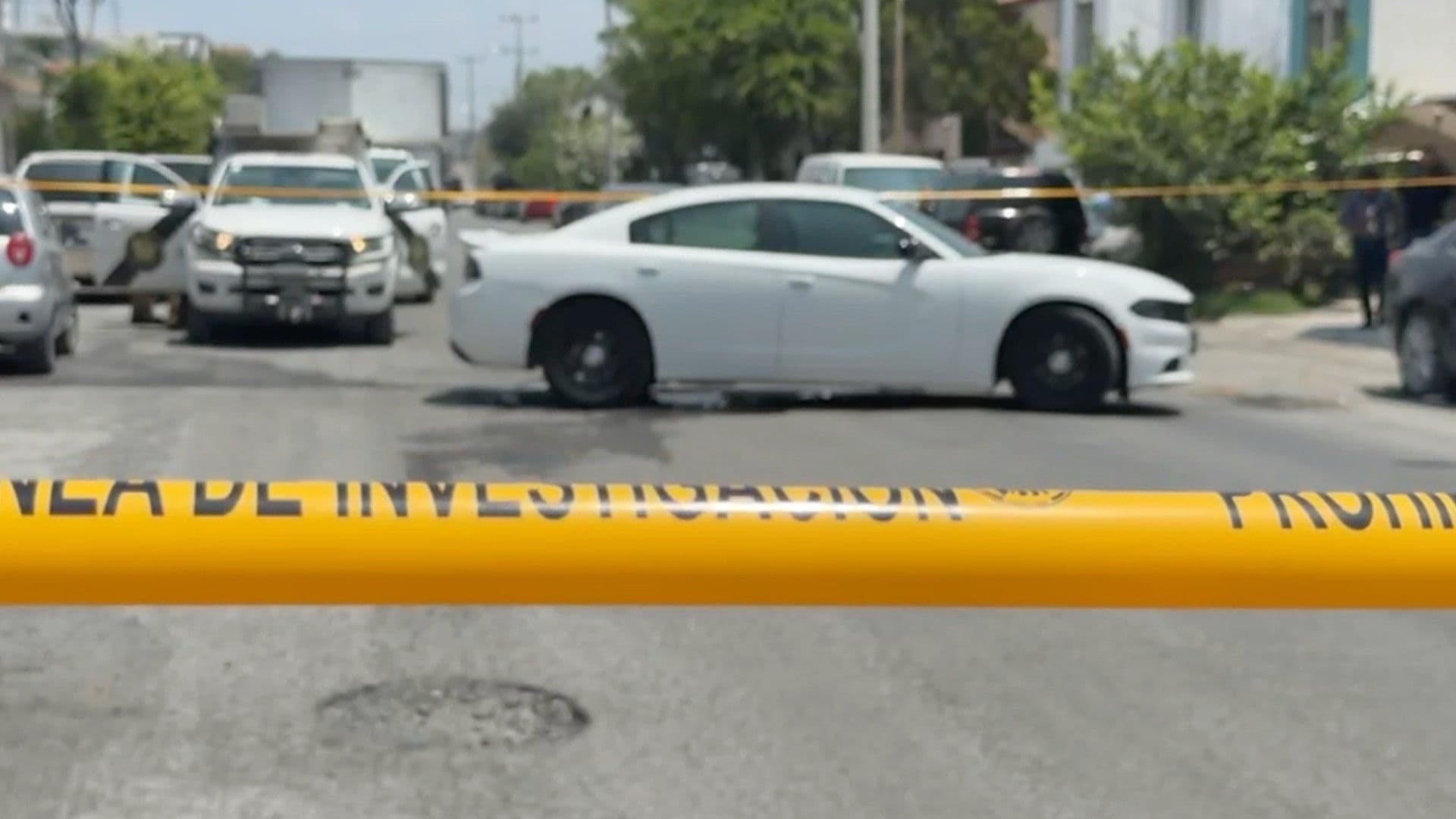 Investigan Homicidio de Aficionado tras Pleito entre Barras de Tigres y Monterrey en Apodaca, NL