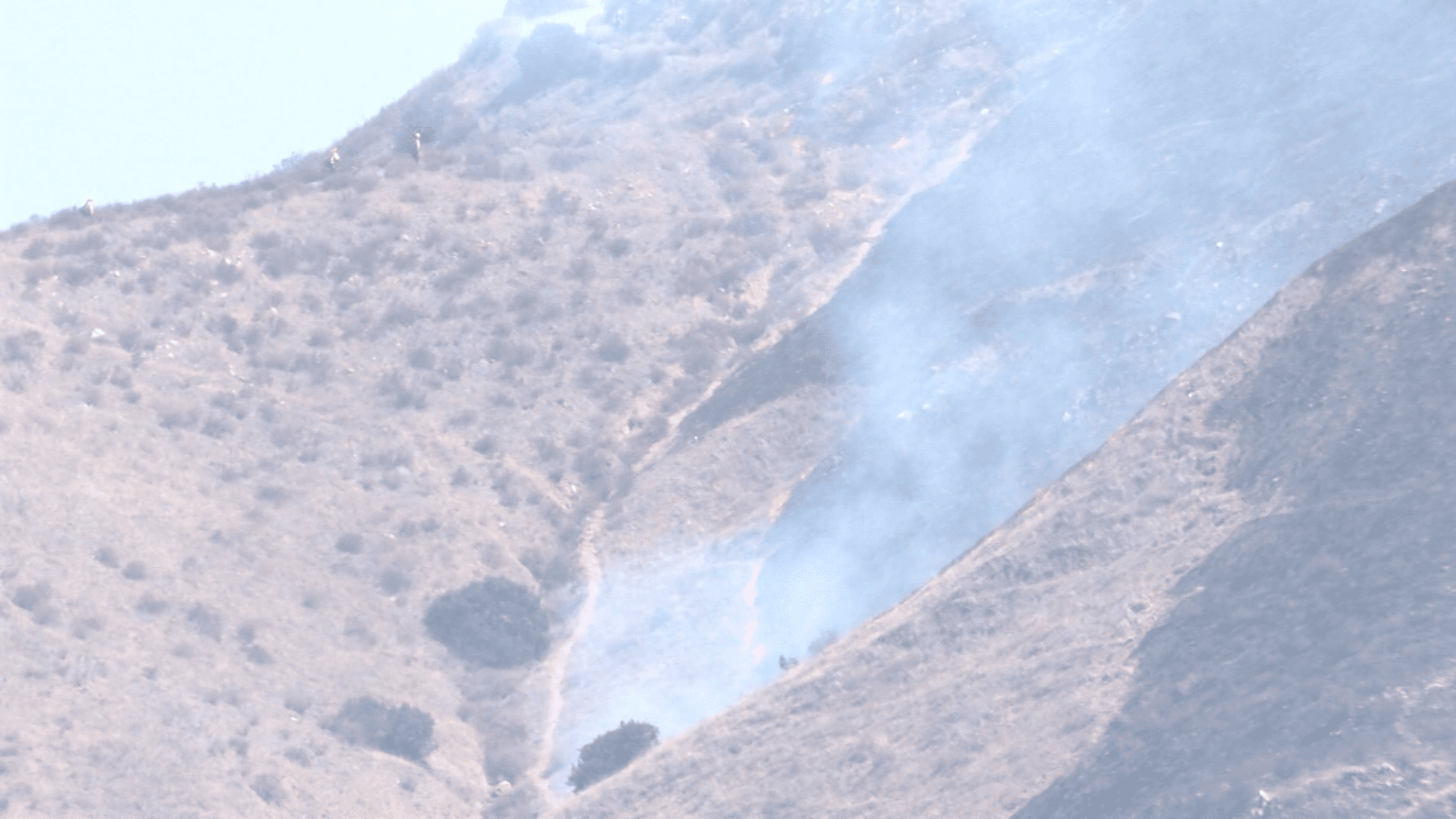 Incendios Forestales se Intensifican en Baja California Durante Temporada de Calor