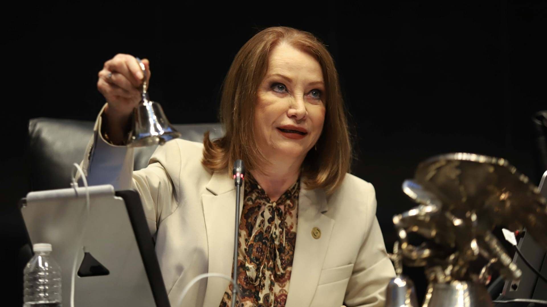 ¿Quién Es Laura Itzel Castillo? Perfil y Biografía de Nueva Secretaria de las Mujeres de México