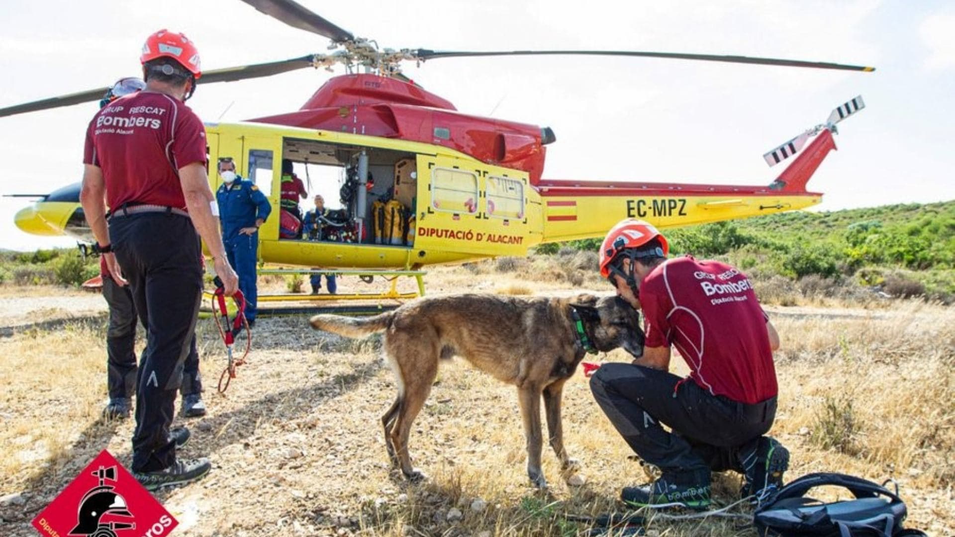 Muere Titán, Perro Rescatista que Ayudó a Salvar Vidas en Desastres como el Terremoto en Turquía