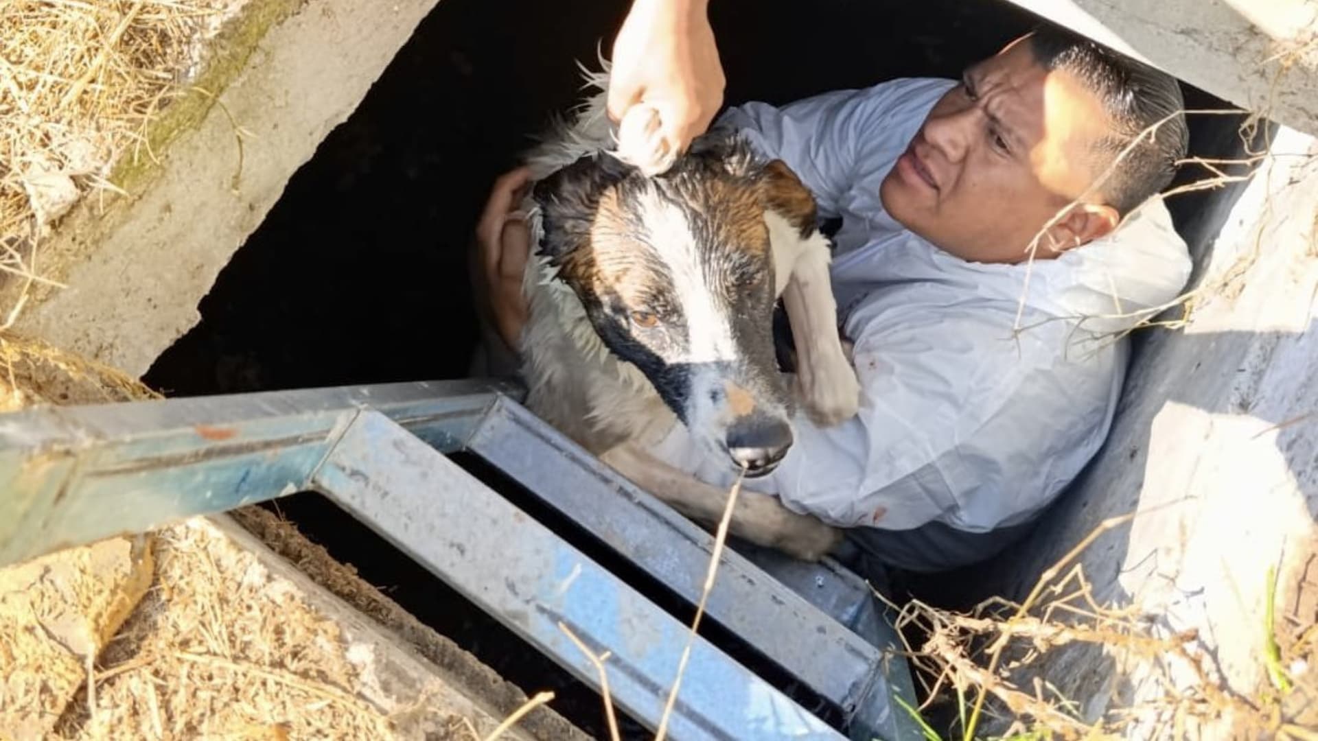 Rescatan a Perro que Cayó en una Cisterna de San Andrés Cholula, Puebla