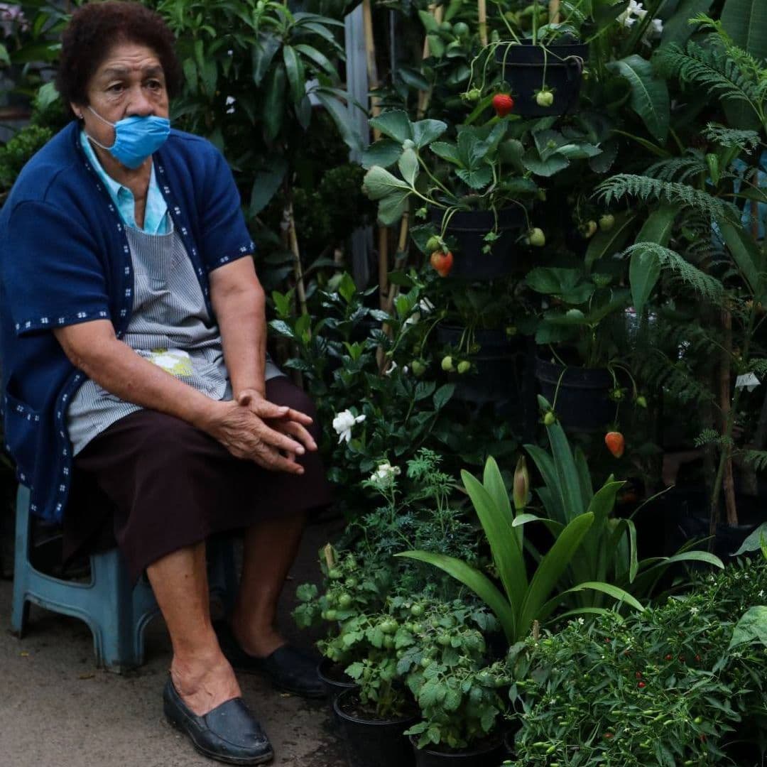 Primer Día del Verano 2026: Las Plantas que Más Sufren Esta Semana y Cómo Salvarlas