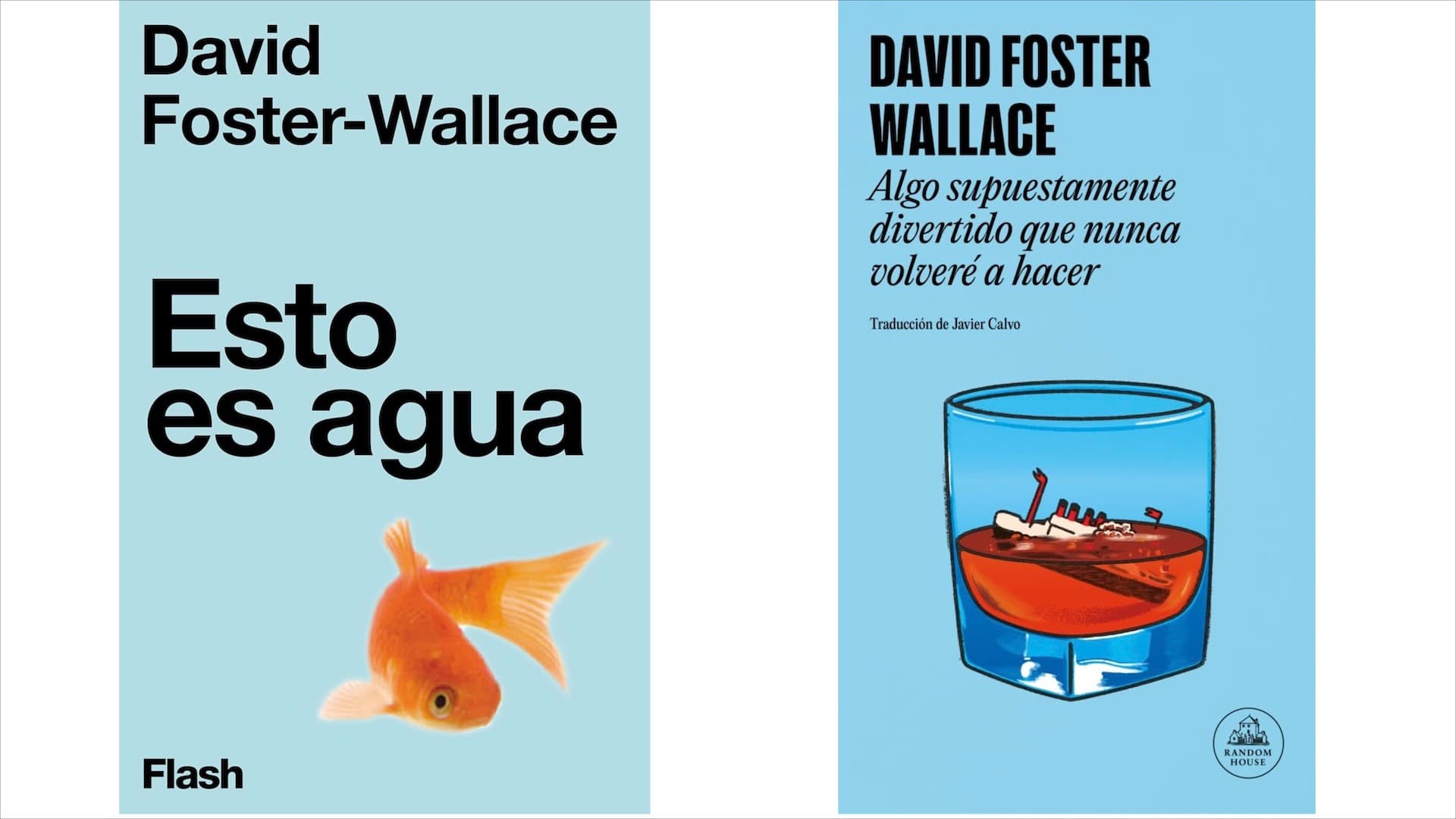 Libros de David Foster Wallace