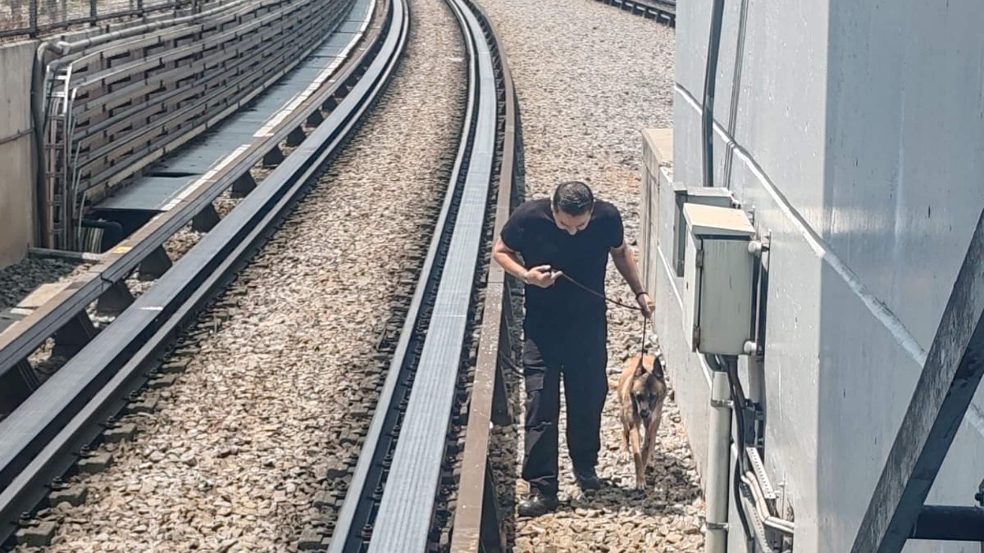Rescate en la Línea B del Metro CDMX: ¿Qué Pasó en la Interestación Olímpica–Plaza Aragón?
