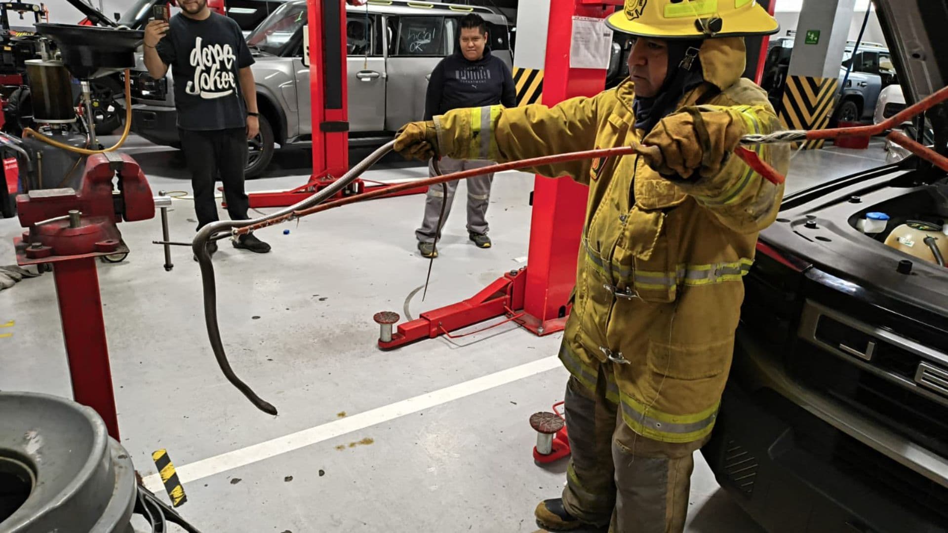 Rescatan Víbora al Interior de un Establecimiento en la Ciudad de Puebla