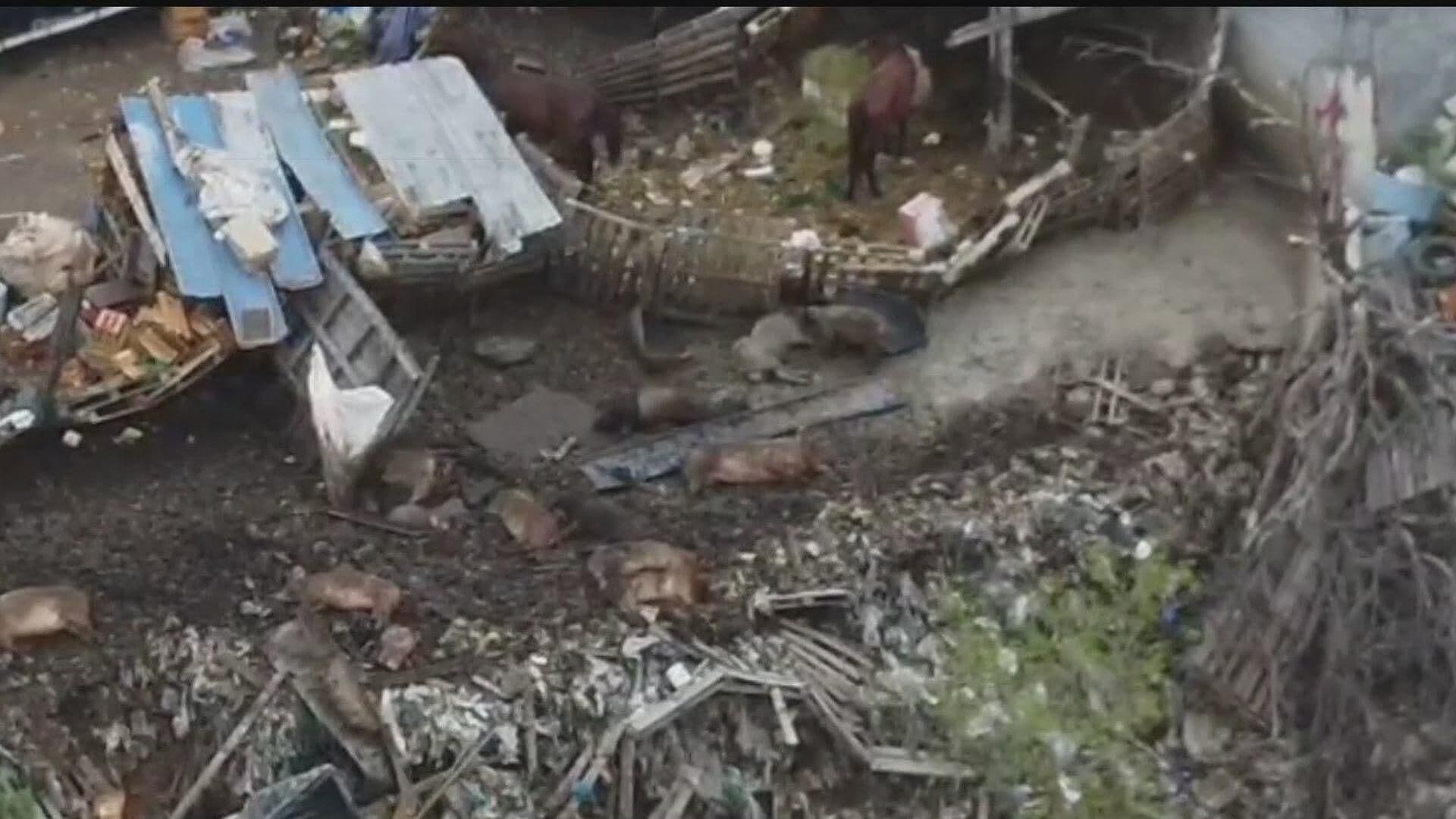 Denuncian Vecinos Contaminación por Descargas y Marranero en Río Pesquería en Escobedo