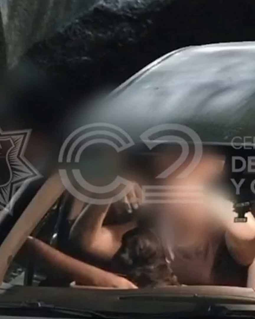 Video: Abandonan a Cachorro de Cuatro Meses en Bosque Venustiano Carranza de Torreón