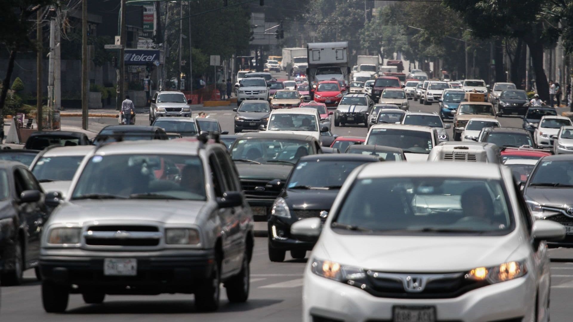 ¿Qué Coches Sí Circulan el 24 de Febrero 2026? Engomados y Placas que Sí Salen en CDMX y Edomex