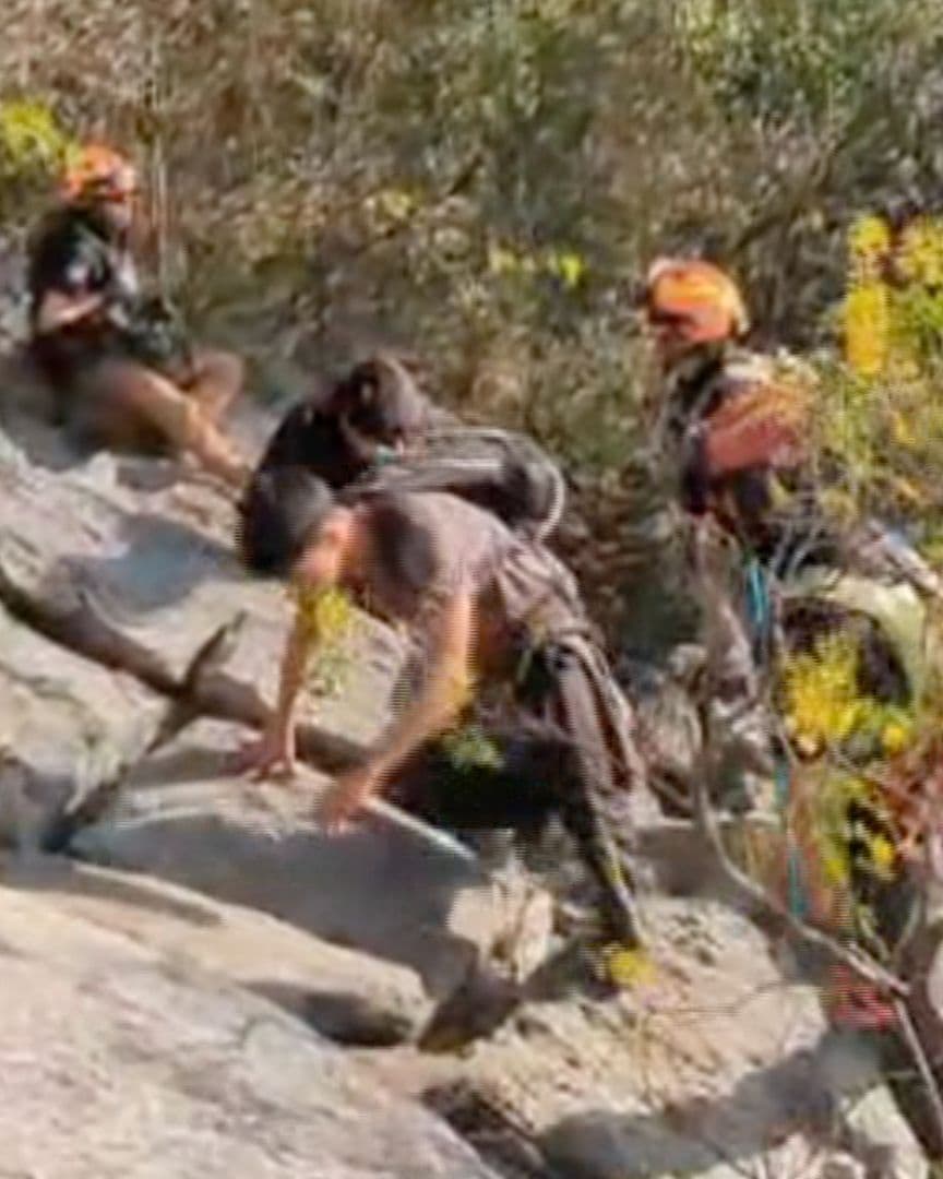 Rescate Cerro de la Silla