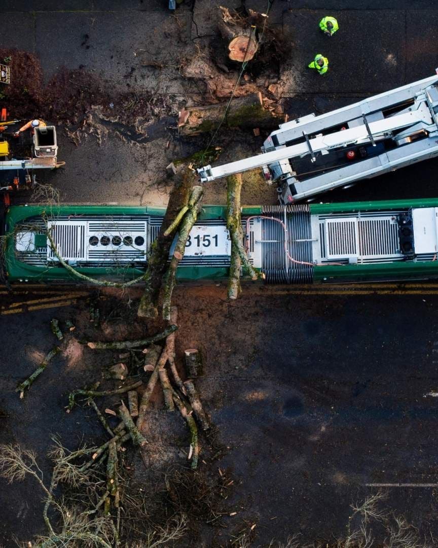 ¿Qué Es un Ciclón Bomba? Fenómeno de Bombogénesis ‘Apaga’ California y Mata a Una Persona