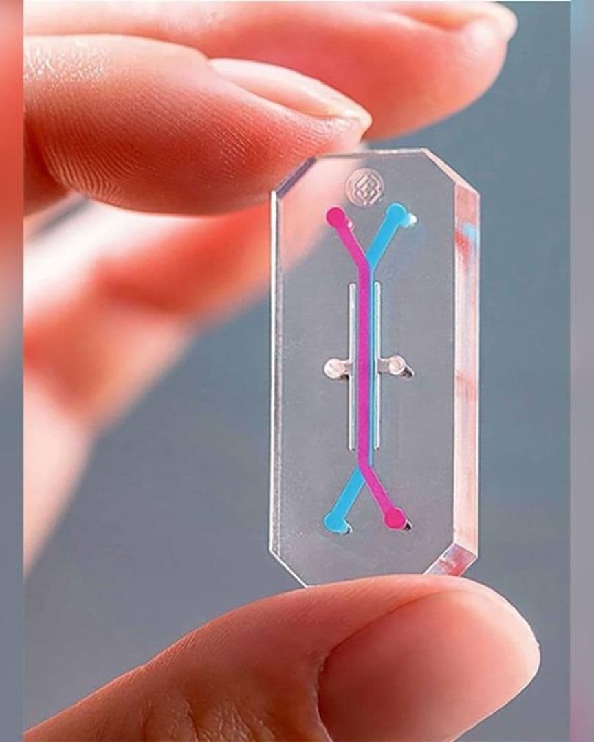 UNAM crea chip que simula funciones del hígado