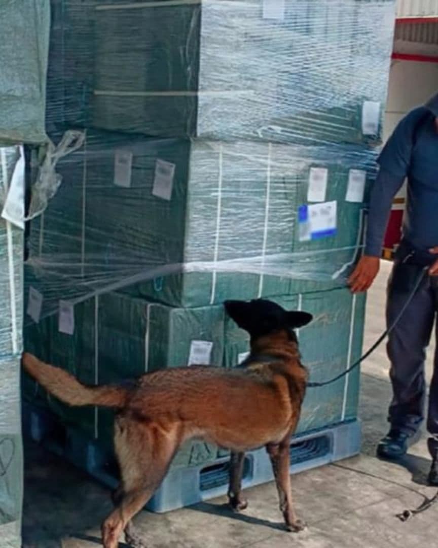 Aseguramiento de tabaco ilegal en e AICM