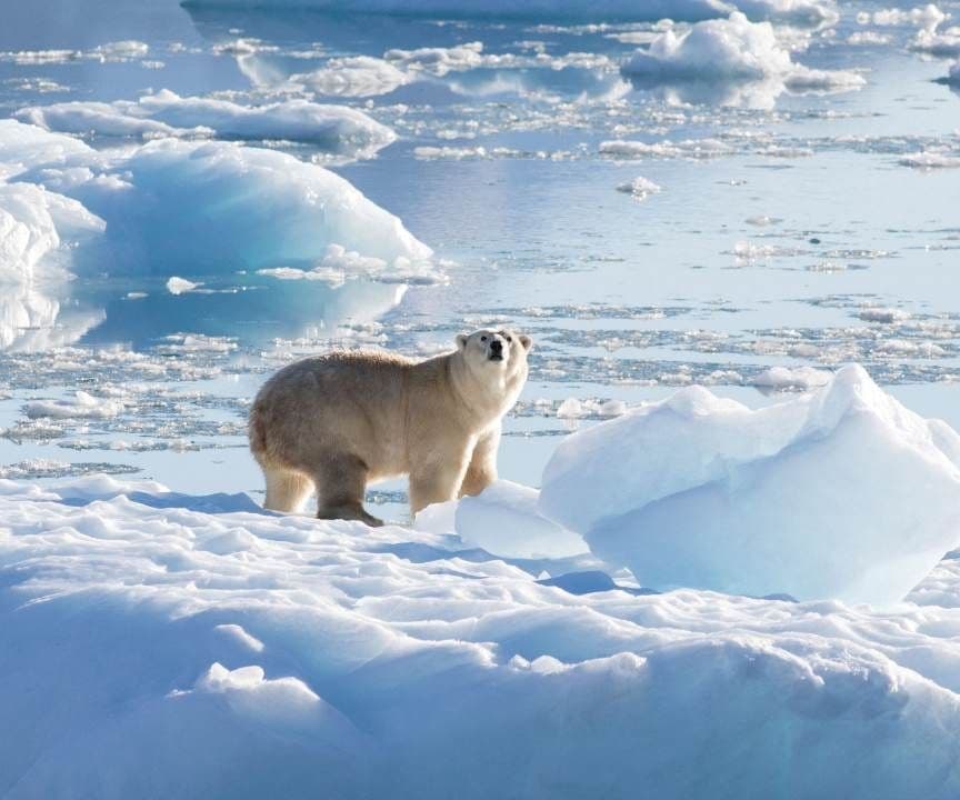 El Ártico podría quedar libre de hielo marino durante los meses de septiembre a partir de 2030-2050 en todos los escenarios de emisiones