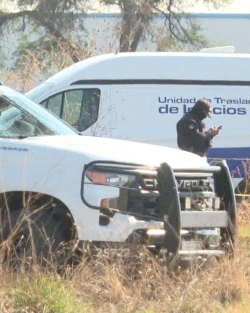Restos Humanos Fueron Encontrados en Bolsas de Plástico en Un Predio en Silao. Foto: N+