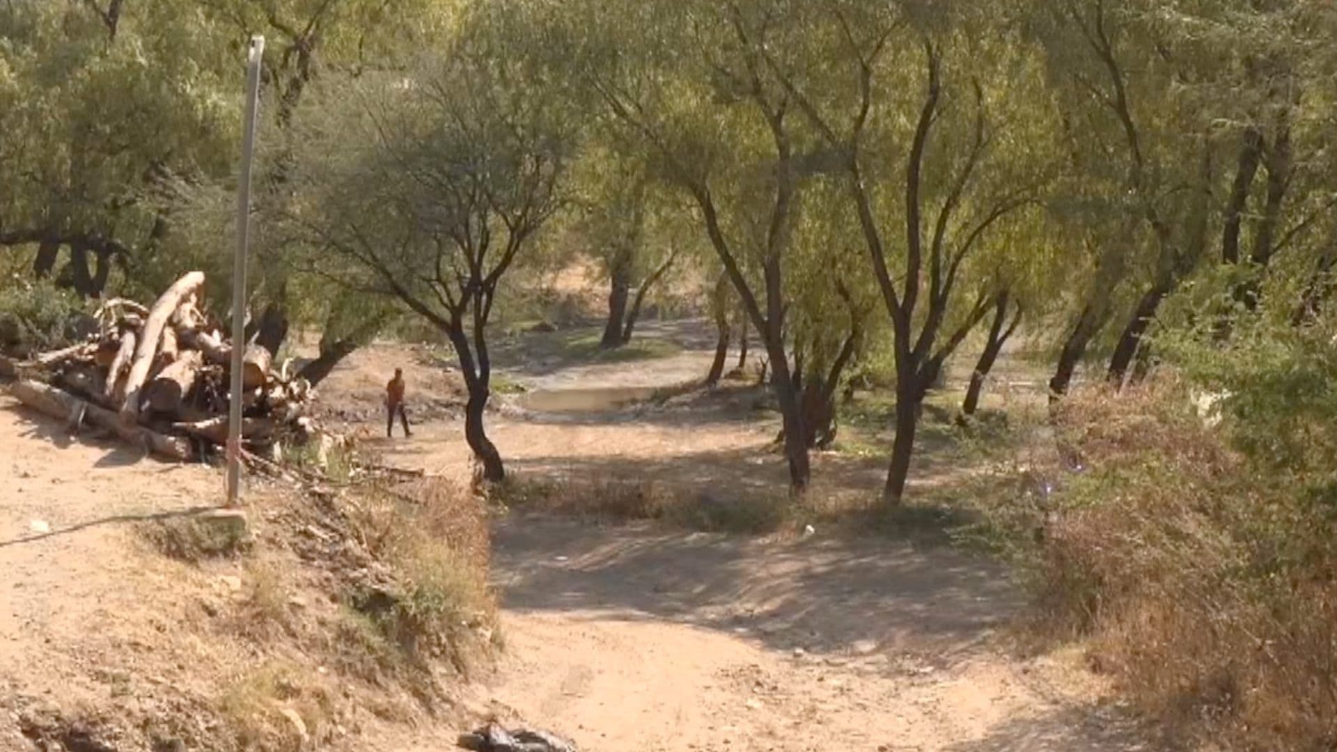 Hombre Sin Vida es Encontrado con Signos de Violencia en un Camino de Terracería en Pénjamo