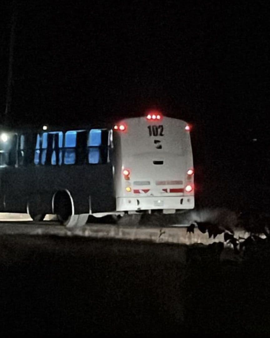 Reportan la Presunta Desaparición de un Chofer y Pasajeros de Autobús en SLP