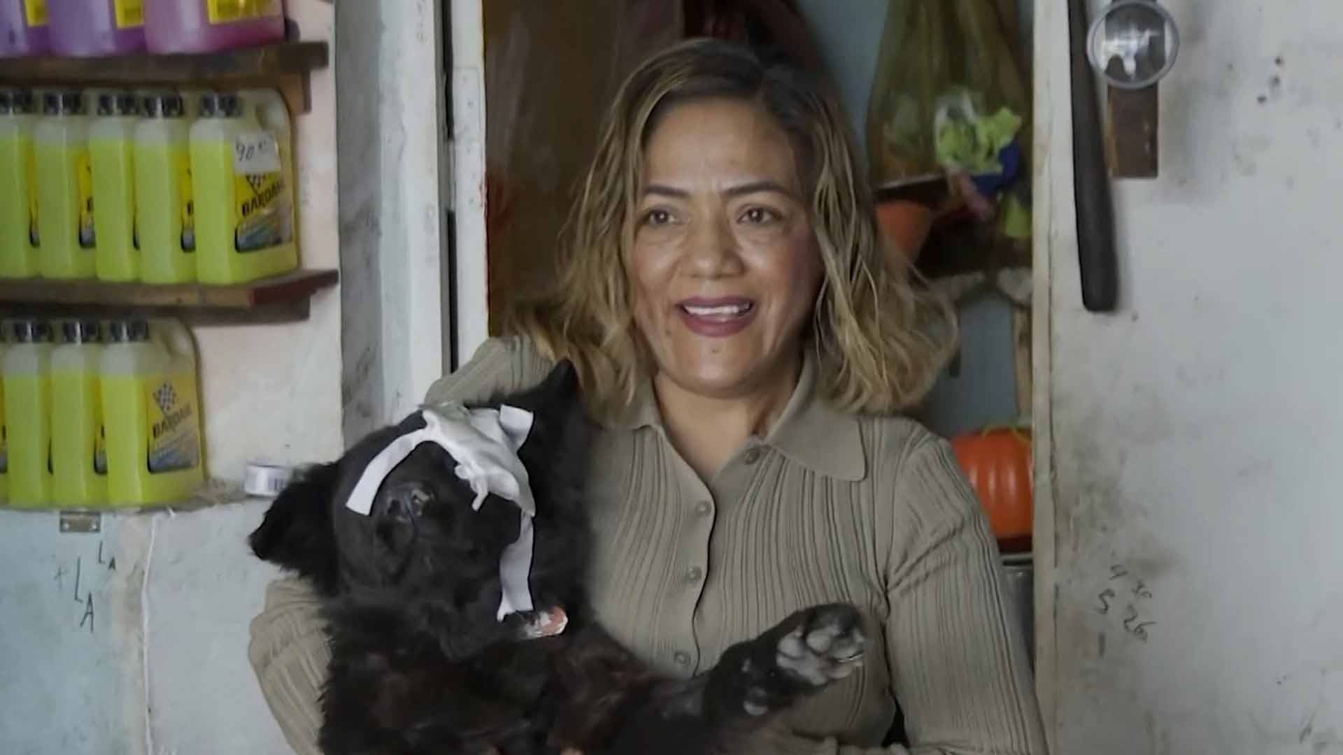 Adoptan a Perra que Sobrevivió tras Ser Acuchillada en Torreón