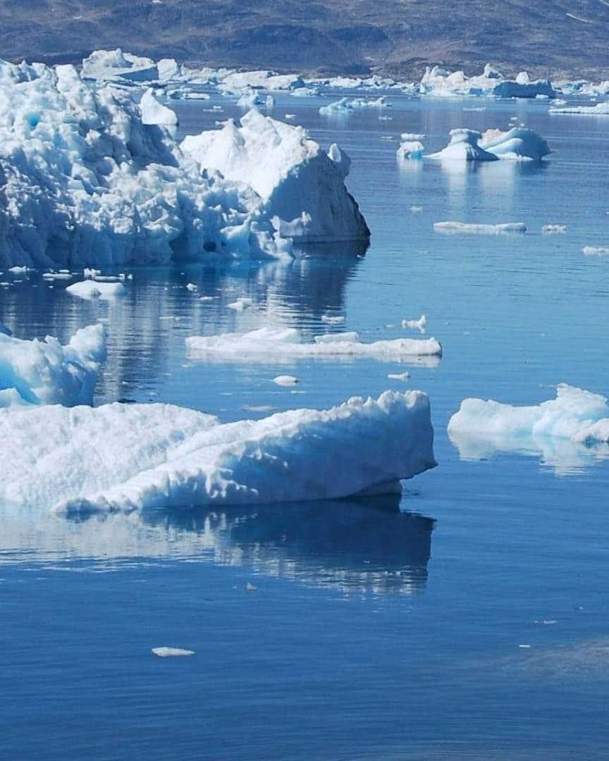 El Ártico se Puede Quedar Sin Hielo en 3 Años y Estas Serían las Consecuencias