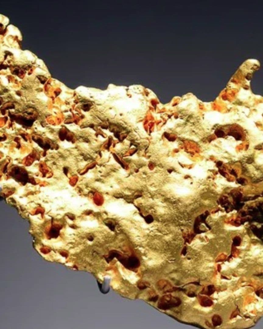 Detienen a Mujer China por Robar 6 Kilos de Oro en Museo de Historia Natural de París