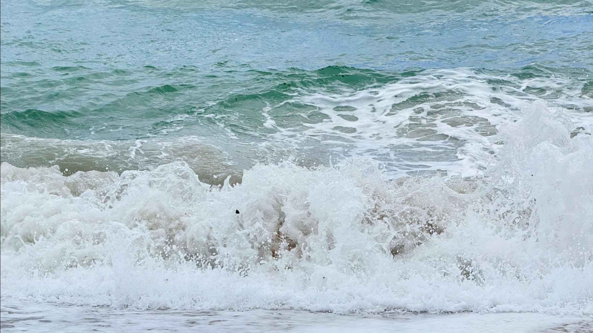 Residuos de Hidrocarburo ya Afectan Zonas de Pesca en Playa Miramar de Ciudad Madero