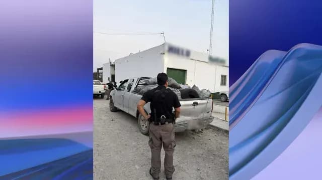 Decomisan 14 Toneladas de Carbón en Tamaulipas