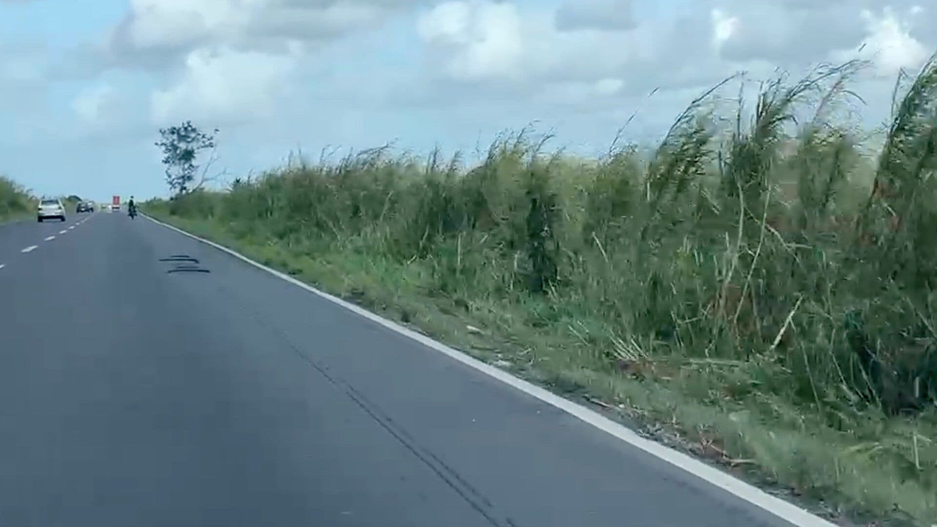 Identifican a Hombre Fallecido en Las Matas al Sur de Veracruz