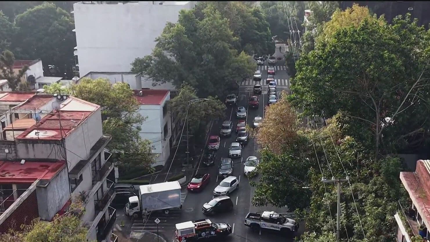 Caída de Árbol Provoca Cierre de Circulación en Colonia Del Valle, CDMX