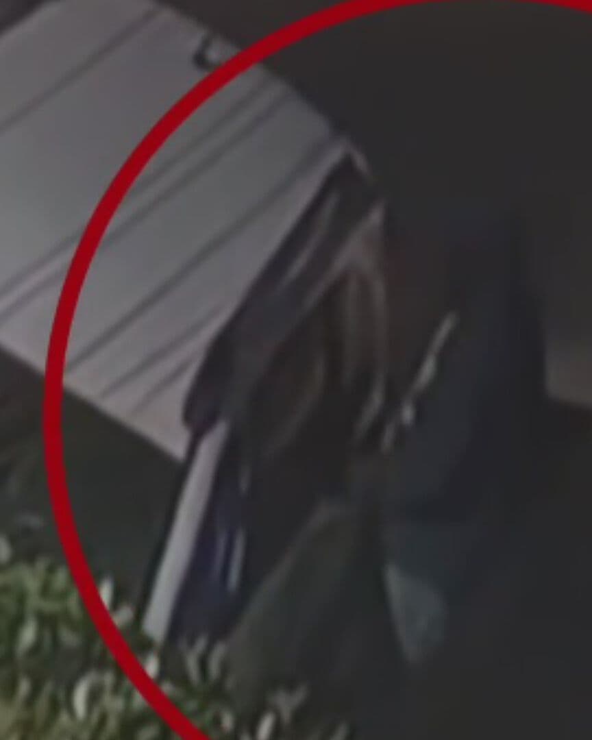 A Cristalazos: Así Opera el Ladrón de San Lorenzo Huipulco, Tlalpan