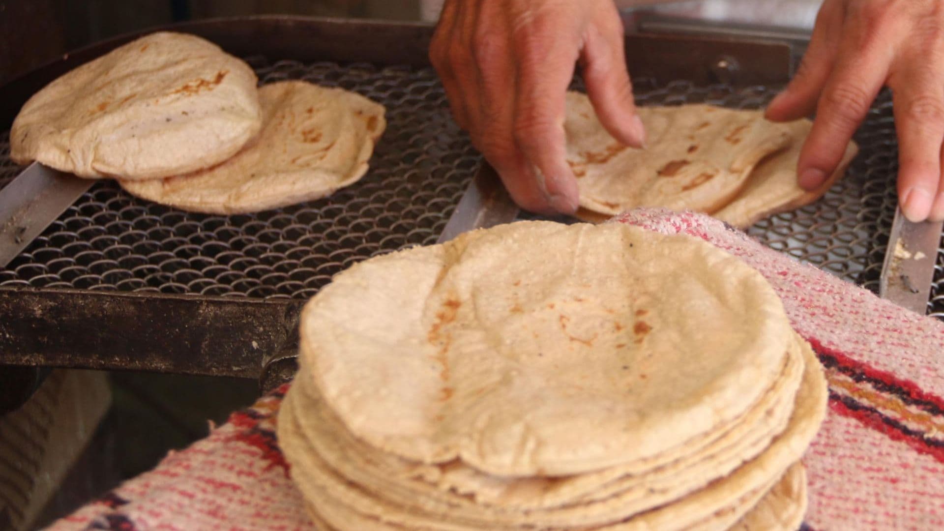 Gobierno y la Industria Descartan Alza en el Precio de la Tortilla