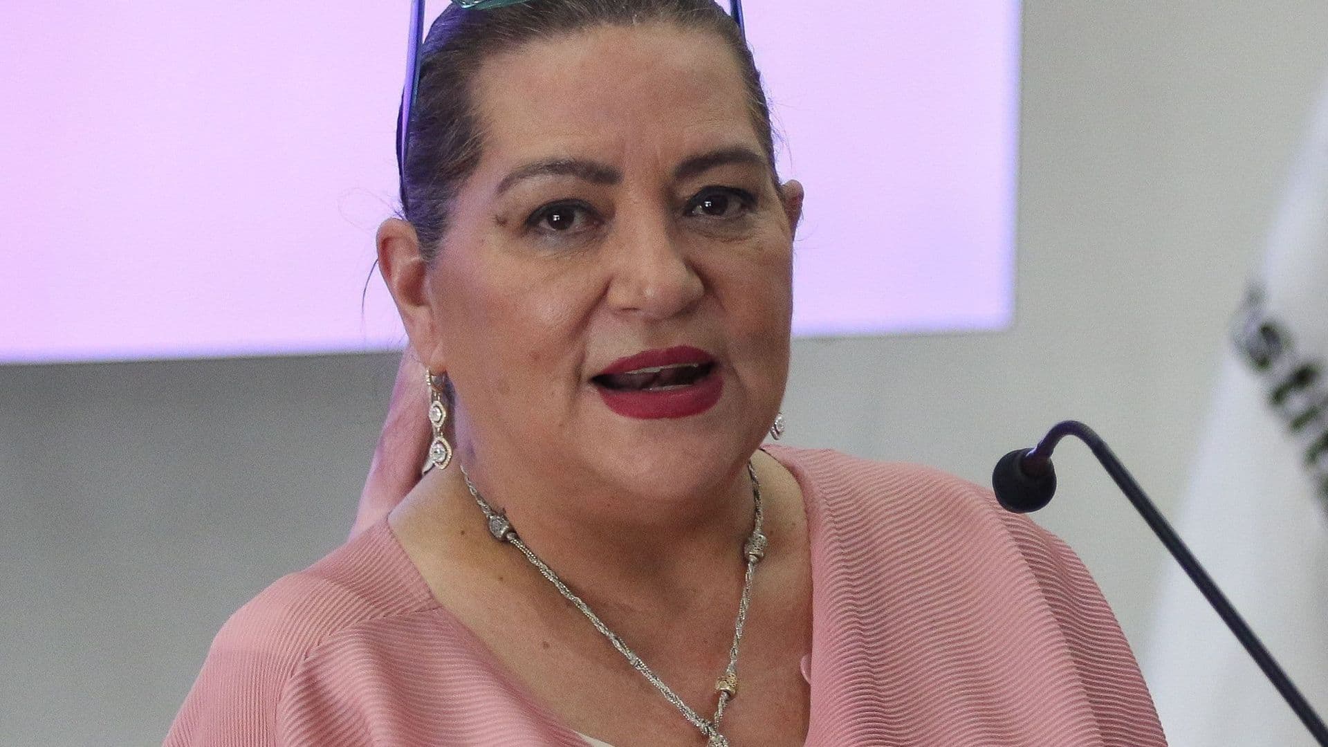 INE Advierte que No le Toca Revisar Integridad y Antecedentes de Candidatos