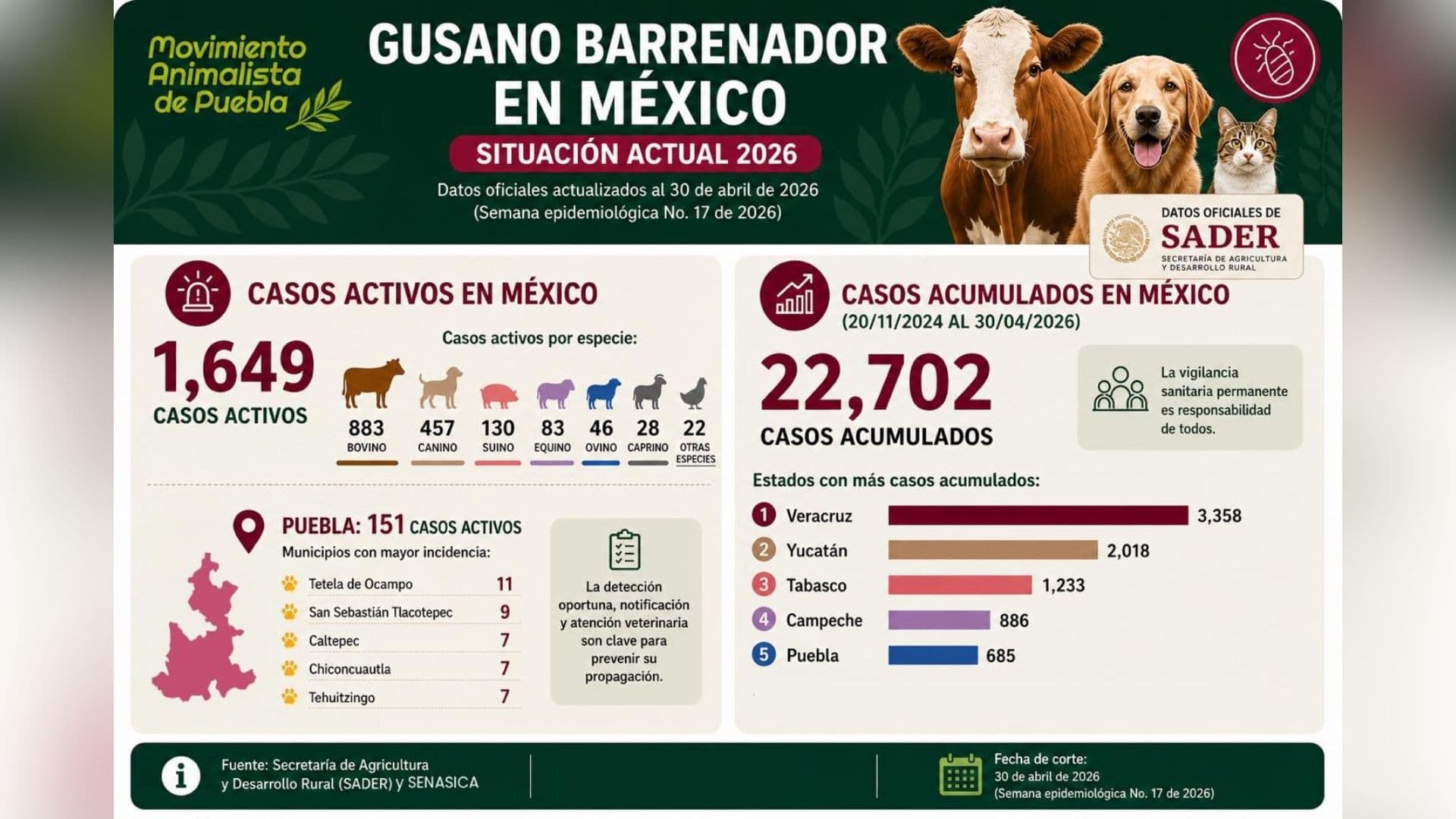 Casos de gusano barrenador en Puebla